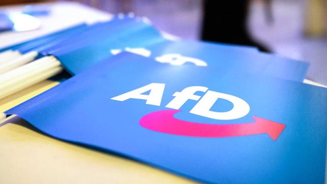 Papierfahnen mit dem Logo der AfD