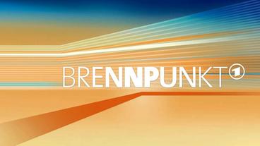 Bild: tagesschau Brennpunkt SWR