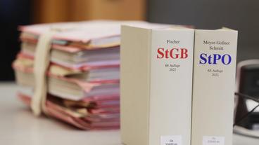 Bild: picture alliance/picture alliance/dpa | David Young Gerichtsakten und Gesetzbücher auf einem Tisch