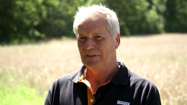 Detlef Scholtka, Allergiker