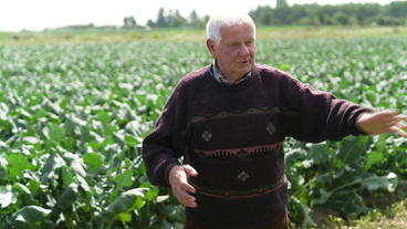 Hans Brunner, Landwirt
