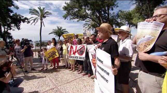 Mallorca: Einheimische demonstrieren gegen den Massentourismus auf Mallorca: Es reicht, sagen sie