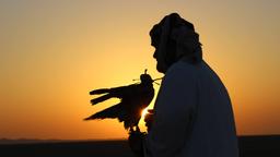 Falkenfreunde gibt es in den Vereinigten Arabischen Emiraten wie Sand in der Wüste. Es ist weder ein Sport noch ein Hobby –  es ist Tradition.