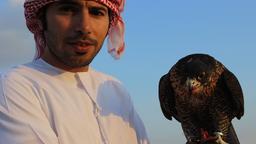 Raquaab mit seinem Lieblingsvogel Sheeba. Wenn sie krank ist, läßt er alles stehen und liegen und geht mit ihr ins Falkenhospital in Abu Dhabi, dem größten seiner Art weltweit.
