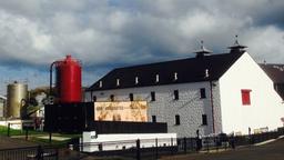 Bushmills ist die letzte Whiskybrennerei Nordirlands. Und, wenn man den Angaben glaubt, auch die älteste in ganz Irland. Seit 1608 produziert sie Hochprozentiges. Nur das nahegelegene Dorf mit dem gleichen Namen profitiert nicht von der altehrwürdigen Stätte. Die vielen Besucher der Brennerei fahren einfach durch den Ort hindurch, ohne anzuhalten. 