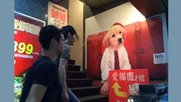 Verkleideter Hund auf Plakat