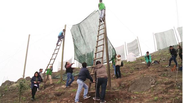 An einem Hang bei Lima werden große Plastikplanen zwischen Holzpfählen aufgespannt.