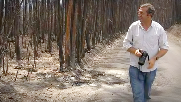 Mann mit Kamera läuft durch verbrannten Wald