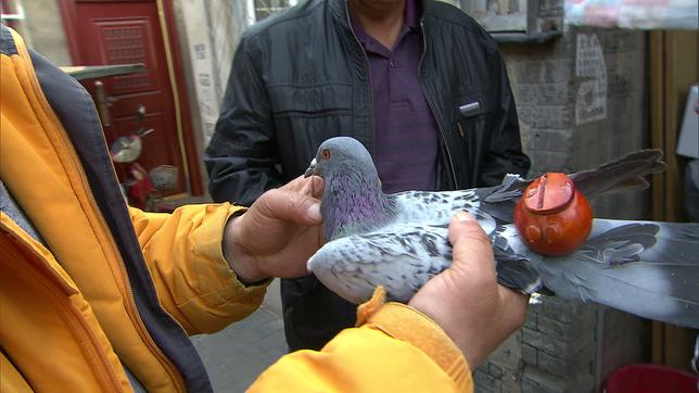 China: Taubenflöten: In der Luft erklingen damit Melodien