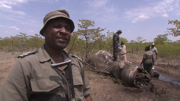 Bild: SWR Chef-Ranger Rendani Nethengwe