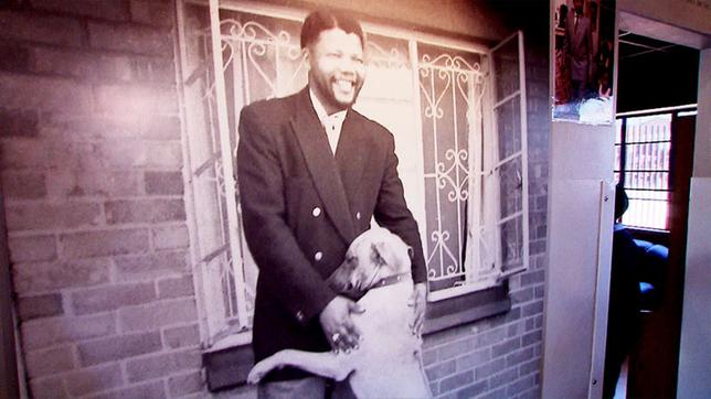 Schwarz-Weiss-Fotografie von Nelson Mandela mit Hund 