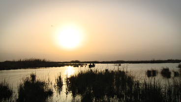 Sonnenuntergang über der Sumpflandschaft