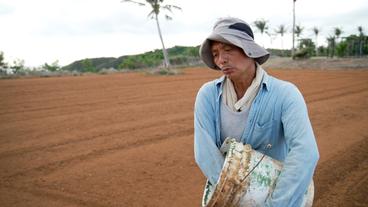 Bild: WDR Taiwan: Landwirtschaft direkt neben dem letzten AKW- Chang Ching-Wen sorgt sich.