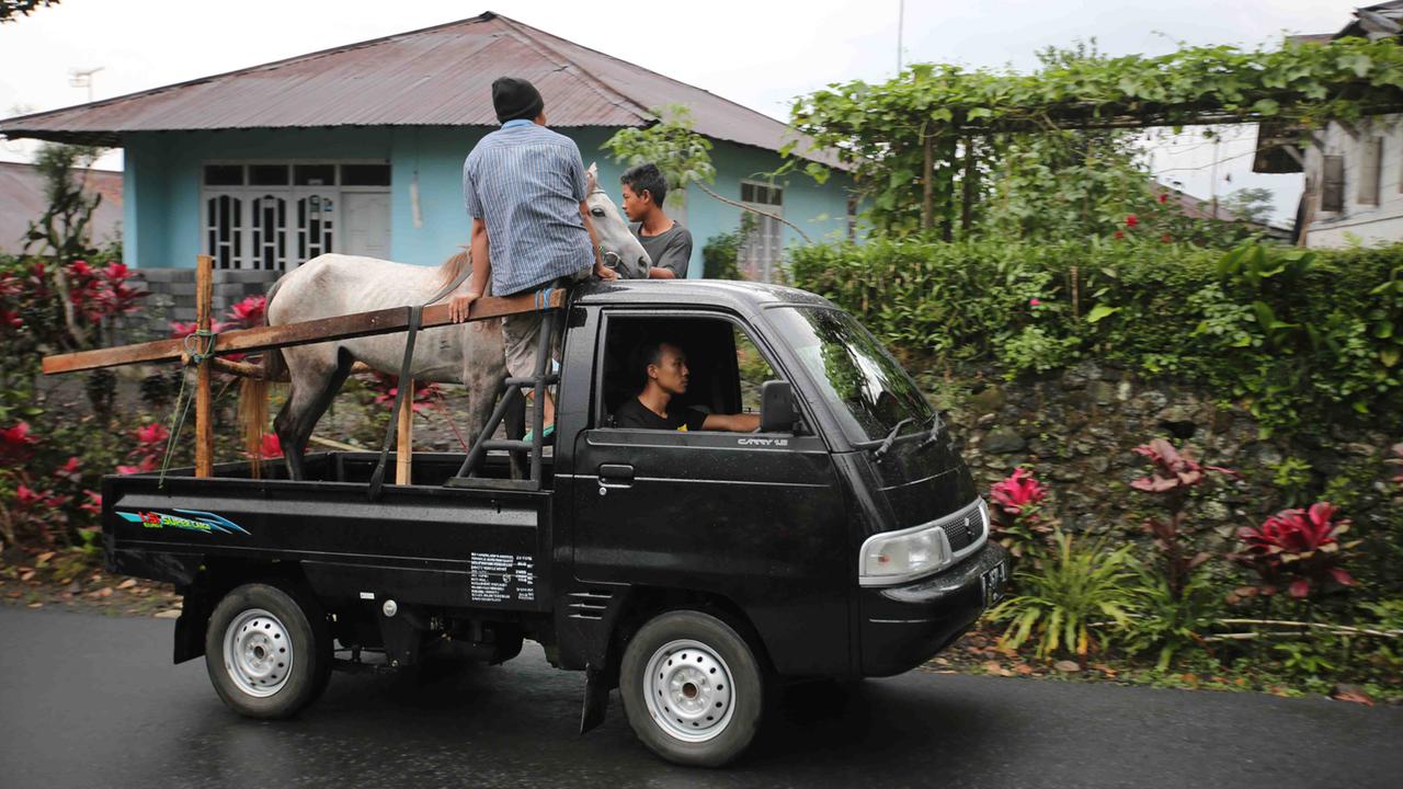 Kommt ein Pferd gefahren: Für Ridwan Sururi wird ein Traum wahr.