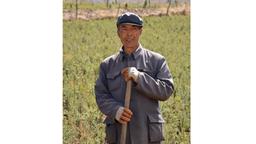 Diesen Bauern treffen wir in Xining. Könnte auch ein Foto aus der Mao-Zeit sein. Er hat heute aber ganz andere Probleme. Sein Dorf soll geräumt werden.