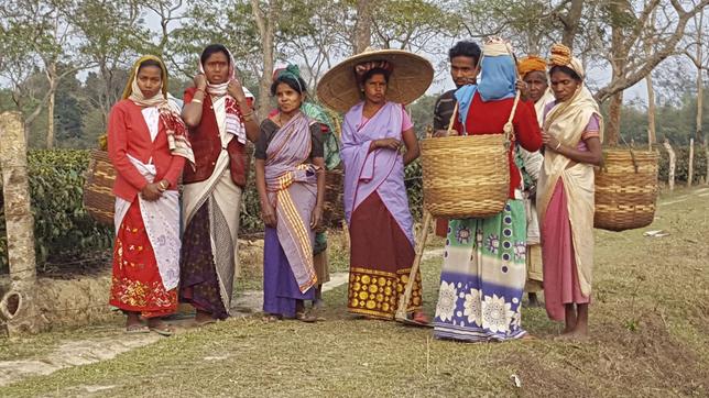 Teearbeiterinnen in Assam