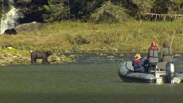 Schlauchboot mit mehreren Personen auf dem See, am Ufer ein Grizzly
