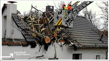 Durch umgestürzten Baum schwer beschädigtes Hausdach