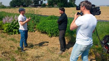 Bild: NDR/tibool Media GmbH Lebensmittelcheck Tim Mälzer Wie gut ist Gemüse? Tim mit Fabian Kern von GartenCoop in Freiburg
