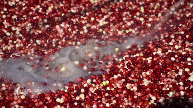 Bild: SWR Cranberries werden häufig "umgefruchtet".