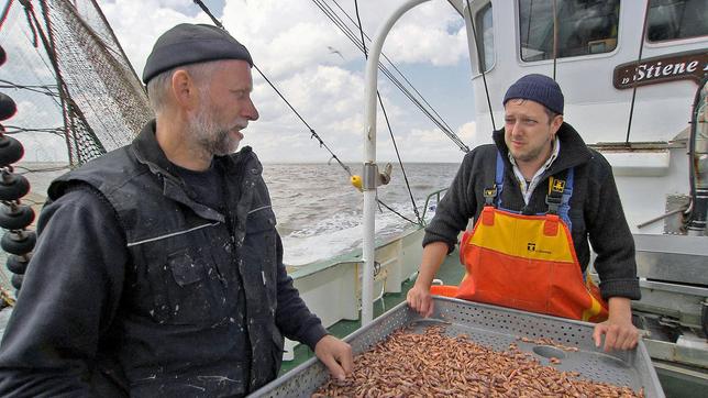 Krabbenfischer Anton Bruhns und sein Decksmann Timo Borg