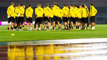 Bildquelle: Alexandre Simoes/Borussia Dortmund/dpa Der BVB beim Training