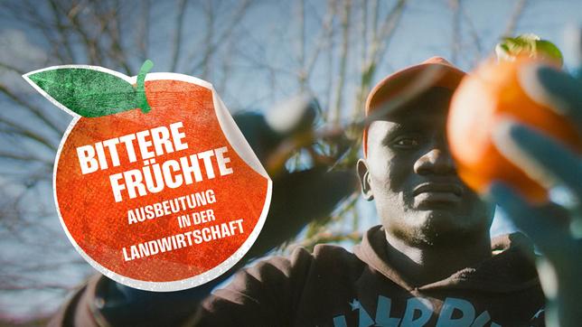 Der Dokumentarfilm "Bittere Früchte" zeigt die unmenschlichen Bedingungen, unter denen moderne Lohnsklaven unser tägliches Obst und Gemüse auf Europas Feldern ernten. 