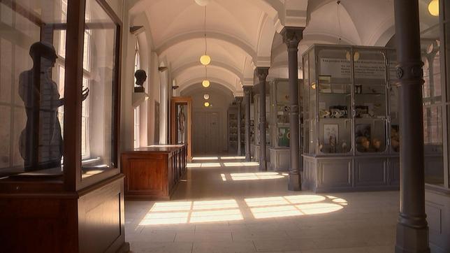 Bild: rbb/Friedemann Rehse Die Lehrsammlung im Institut für Anatomie