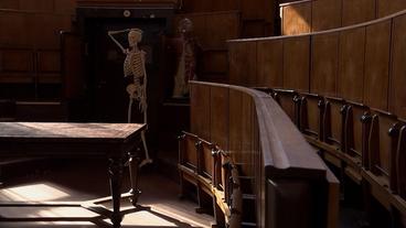 Bild: rbb/Friedemann Rehse Friedrich-Kopsch-Hörsaal im Institut für Anatomie.