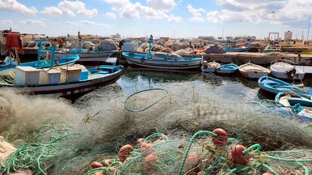 Leere Fischerboote in Tunesien: Illegale Fischer drohen die Küstenregionen leer zu fischen, die traditionelle Küstenfischerei hat das Nachsehen.