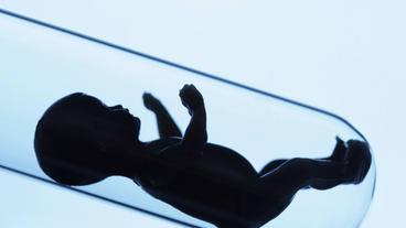 Mit einen unerfllten Kinderwunsch lsst sich Geld verdienen.