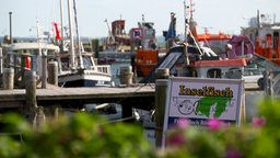 Fischkutter im Hafen, davor ein Restaurant-Aufsteller, der mit frischem Fisch wirbt.