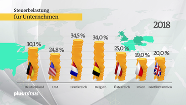 Bild: SWR Grafik: Steuerbelastung
