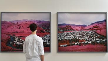 Bildquelle: dpa/ dpa Eine Besucherin beatrachtet ein Bild von Richard Mosse in einer Ausstellung.