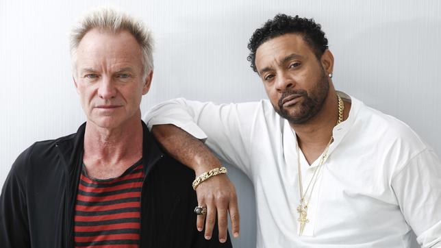 Bild: picture alliance/AP/Invision/Brian Ach Sting (l.) und Shaggy