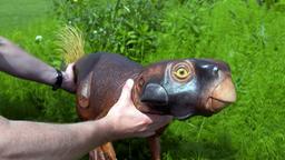 Psittacosaurus
