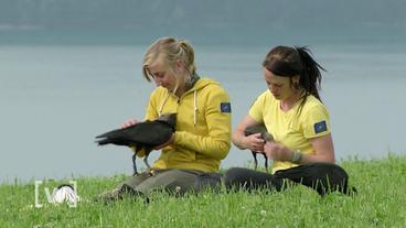Zieheltern sitzen mit Vögeln im Schoß vor Seenkulisse