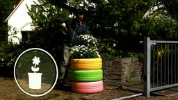 Altreifen mit Blumen bepflanzt