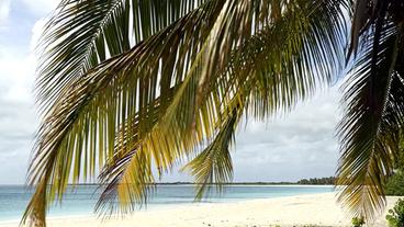 Bild: Florian Melzer Strand von Barbuda