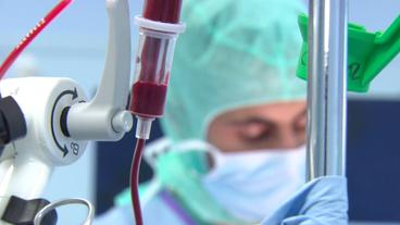 Bild: SWR Schläuche mit Blut