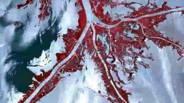 Bild: NASA Falschfarbenbild des Mississippi Deltas mit Ölspuren.