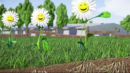 Lchelnde Blumen auf einer Wiese
