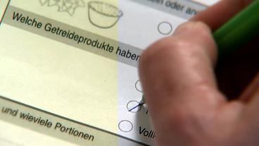 Bild: HR Ernährungsprotokoll