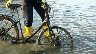 Bild: NDR Fahrrad wird aus dem Wasser gezogen