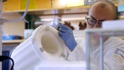 Ein Forscher im Labor der Universitt Davis