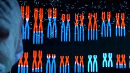 Forscher im Anschnitt vor Projektion Chromosomensatz 