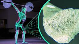 Grafisches Skelett auf Sabines Krper getrackt, schwammartiges Knochengewebe als Realbild. 