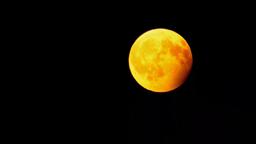 Mond