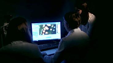 Bild: WDR Paps Team vor Monitor mit Mikroskopbild von Knorpelzellen
