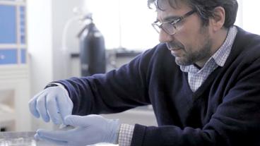 Bildquelle: NDR Prof. Fiorenzo Omenetto